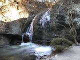 IMG_5897