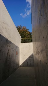 DSC_0781