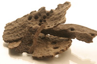 Propolis 1