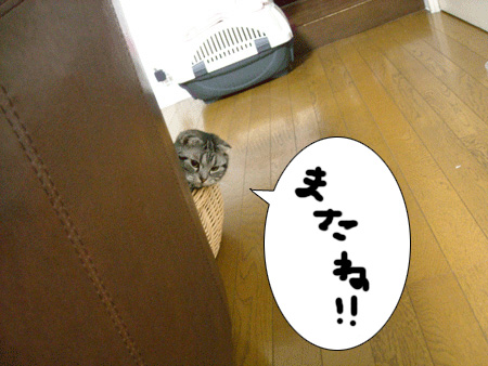 またね!