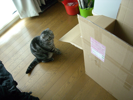 お届け物