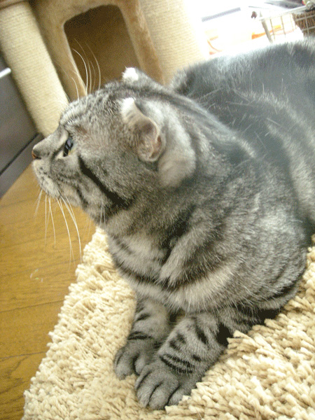 釘付け1