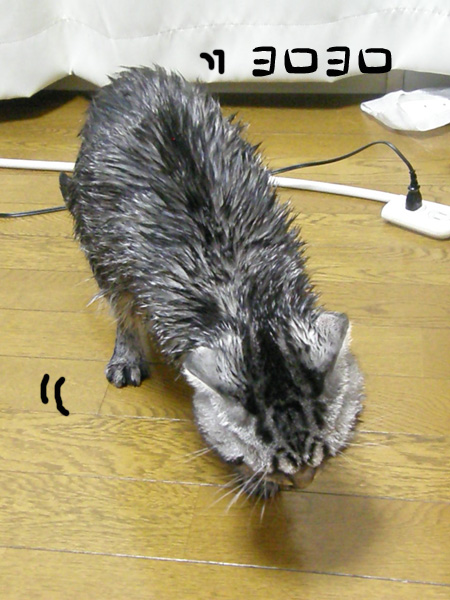 ヨロヨロ