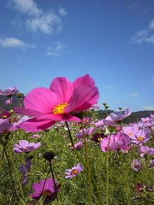 DVC00228