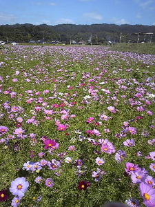 DVC00236