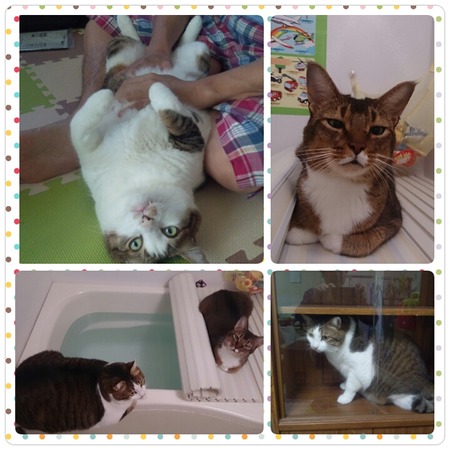 2013.11-2