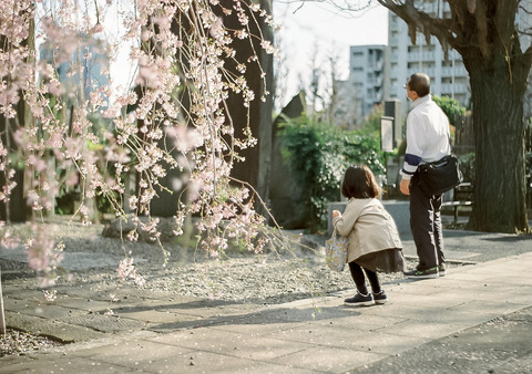 ST801 Pentacon50 Ektar100 000001