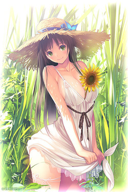 natsukusa_illust