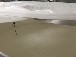 image1a