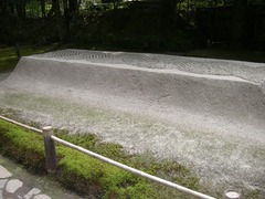 CIMG5803