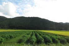IMG_3272