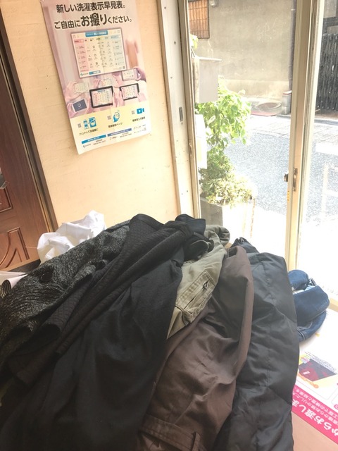 初夏の訪れ 冬物の衣替えもうおすみですか?