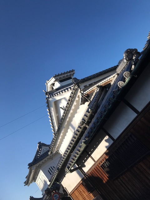 朝日を浴びてパワー注入!元気100倍