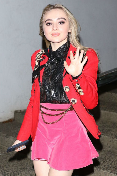 DailyCelebrityDiary