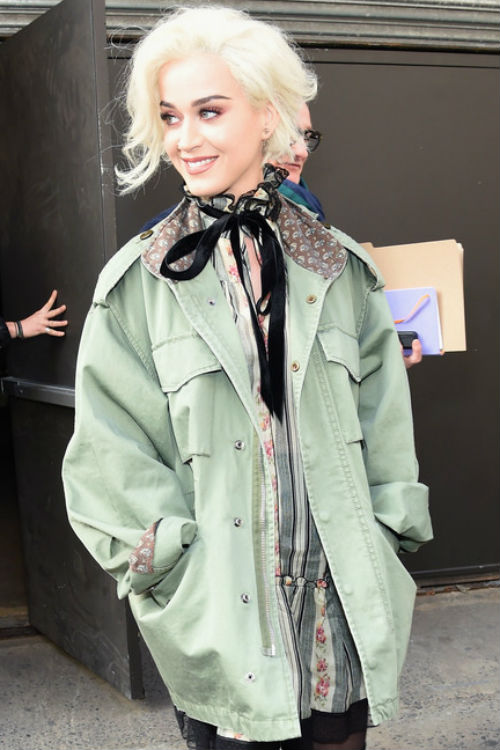 DailyCelebrityDiary4