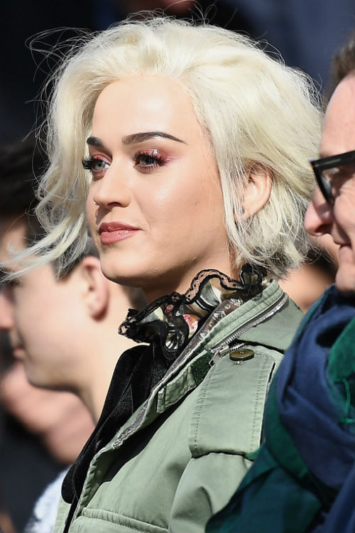 DailyCelebrityDiary2