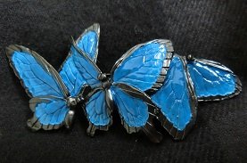 CIMG4935