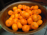 DSCN2175