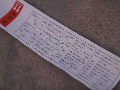 wakayama06