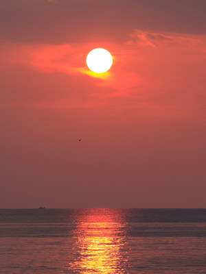 wakayama03