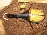 810463c3.JPG