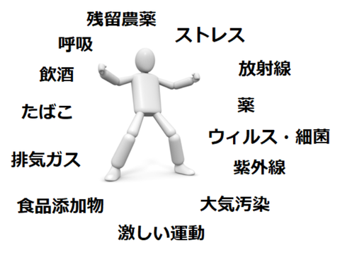 SnapCrab_NoName_2019-1-2_12-5-38_No-00