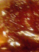 966c08a2.jpg