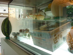 P1020493