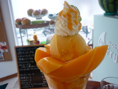 P1020495
