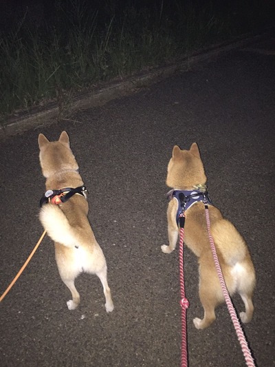 image1_20170721100430
