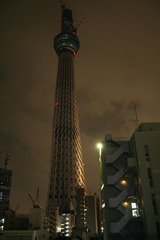 tower101013-1
