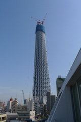 tower100312