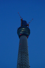 tower100831