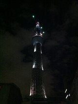 tower101224