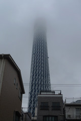 tower100325
