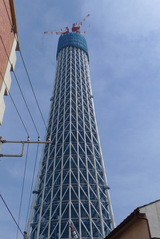 tower100312_2