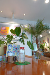 Luana_shop