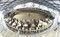 牛72頭ぐるり、一斉に自動搾乳　笠岡で国内最大級設備稼働