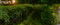 岡山・真庭でゲンジボタルの乱舞　川面を飛び交う神秘的な光