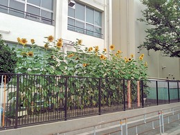 KIMG0153
