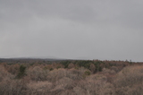 DSC_1241