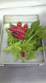 野菜201007121733000
