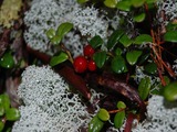 DVC00166