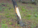 201005200938000