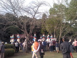2010-11-07_15-06-02_733