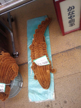 IMG_20100815_112945