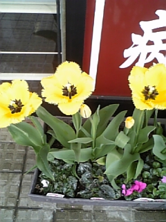3658f655.jpg