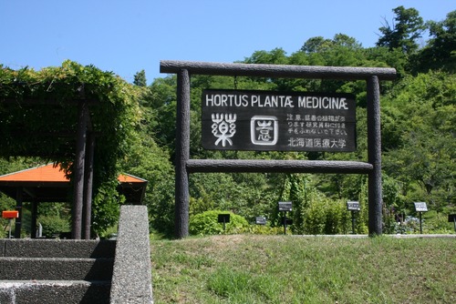 北海道薬草園