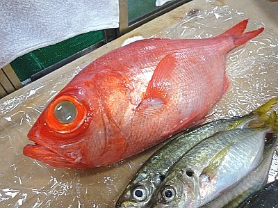 P1010900