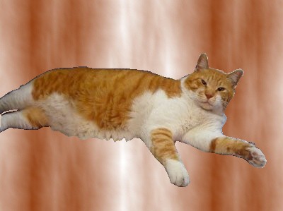 あー太郎